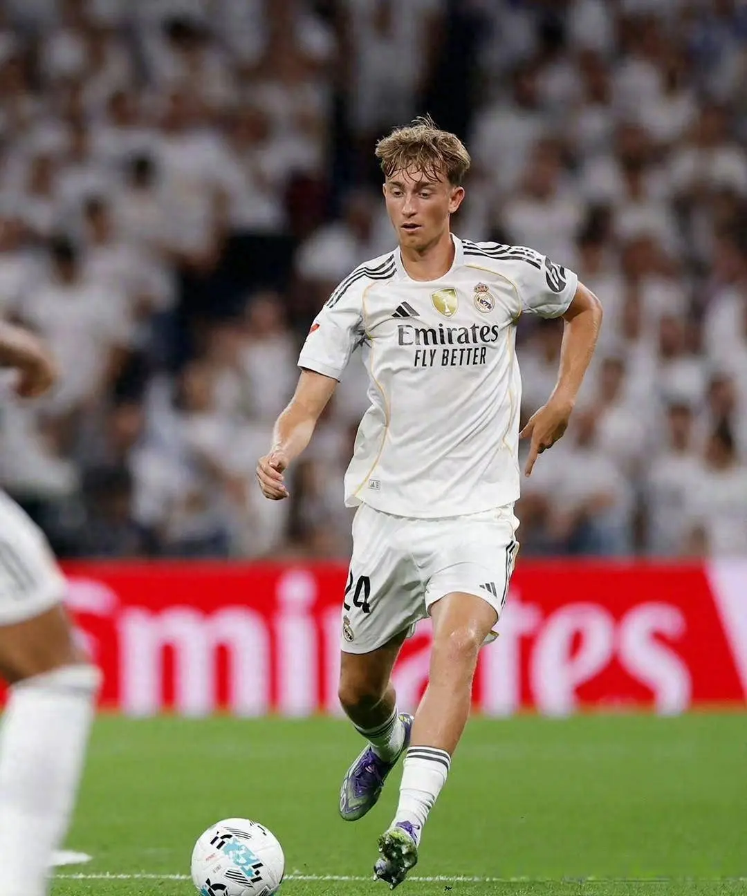 stron, 家德比 stron, 家德比